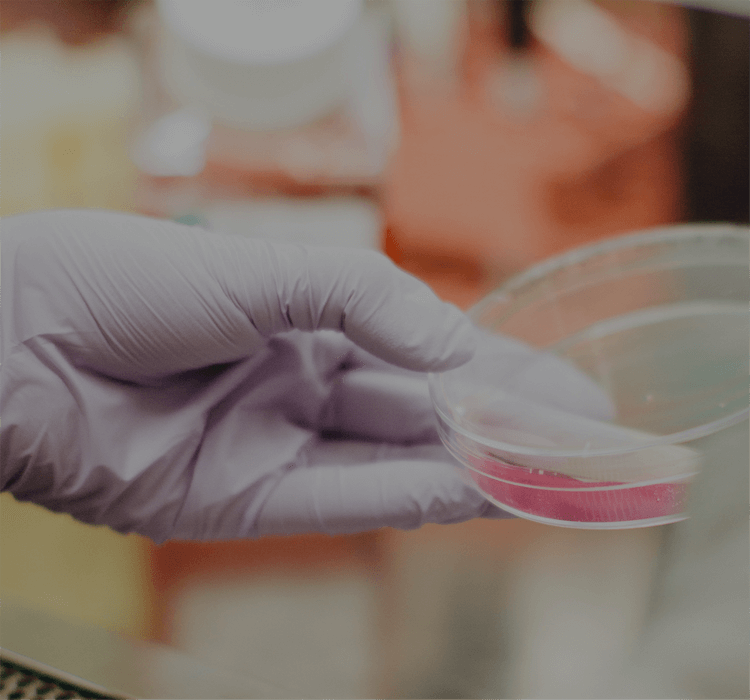 97����-����Ʒ��,Դ������